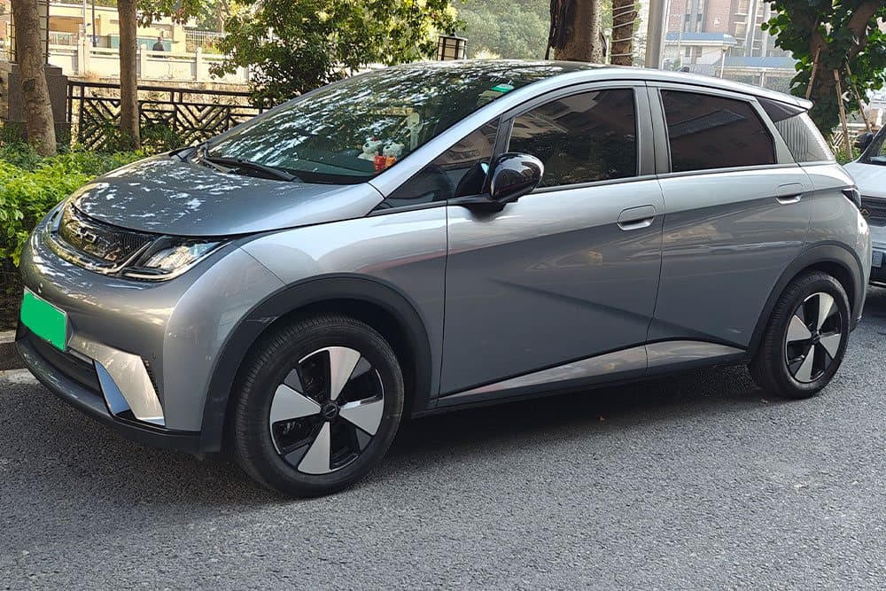 BYD Dolphin с тормозами SAVANINI