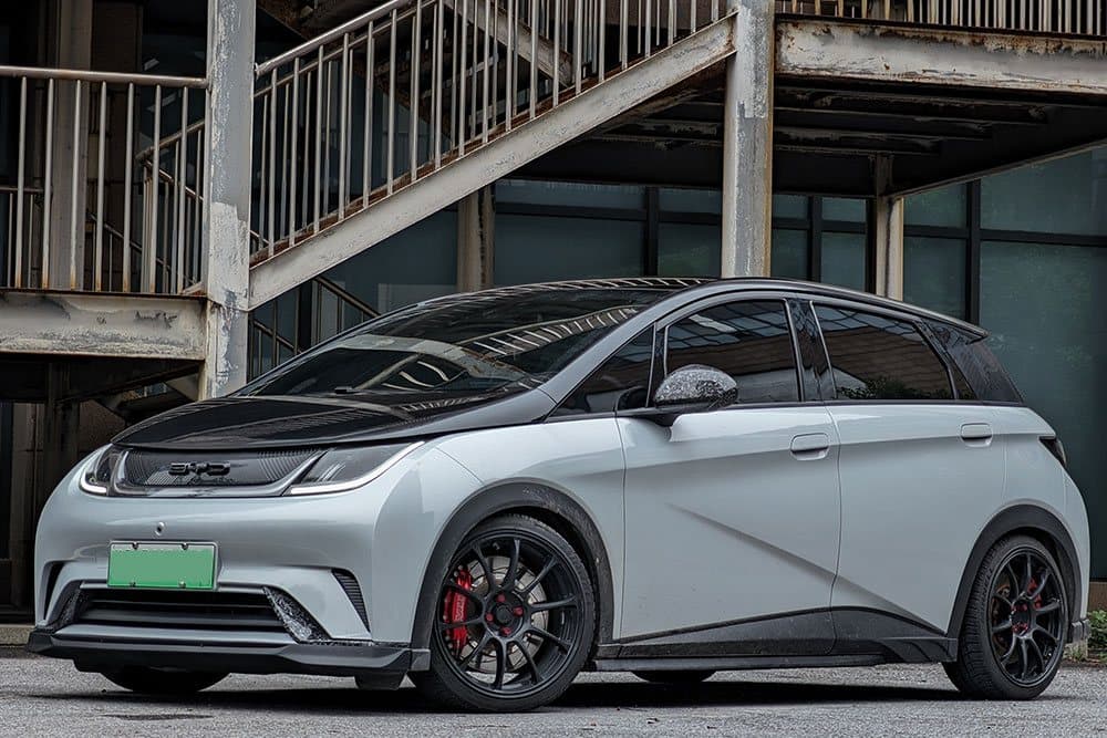 BYD Dolphin с тормозами SAVANINI