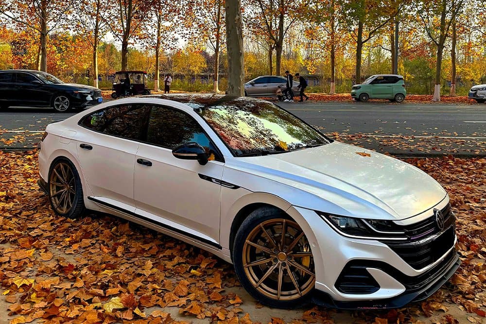 Volkswagen CC с тормозами SAVANINI